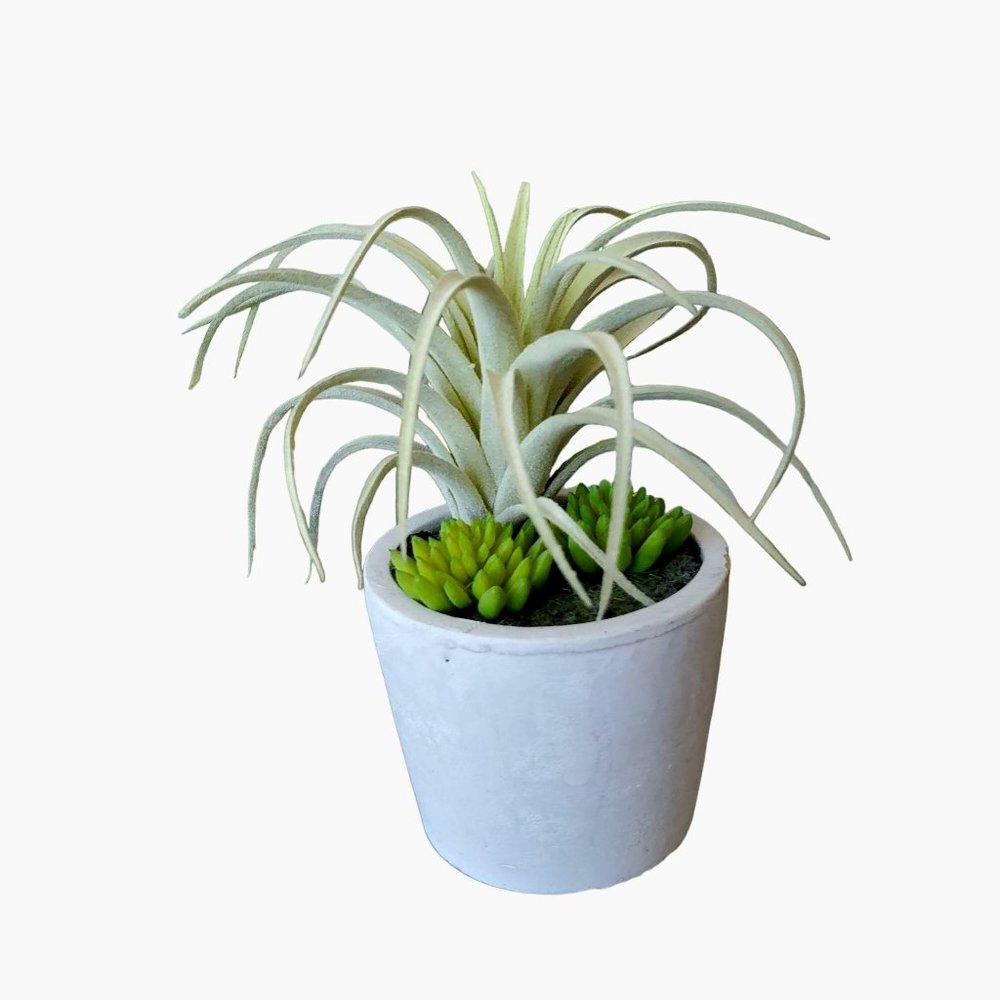 Faux Succulent Arrangement in Concrete Planter, Succulents and Air Plant
